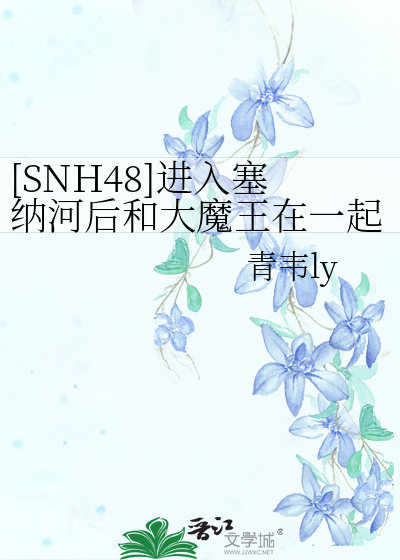 snh48g--塞纳河车库