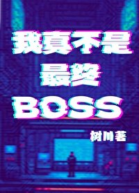 我真不是最终BOSS